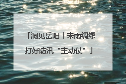 洞见岳阳丨未雨绸缪 打好防汛“主动仗”