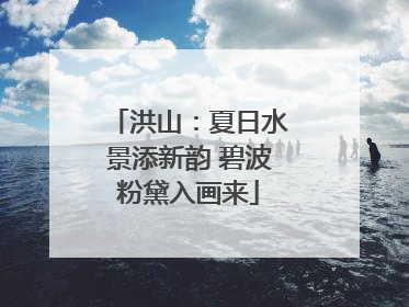 洪山：夏日水景添新韵 碧波粉黛入画来