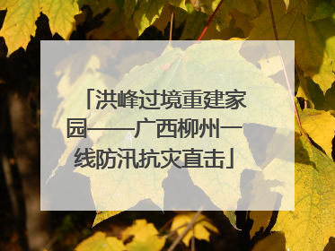 洪峰过境重建家园——广西柳州一线防汛抗灾直击