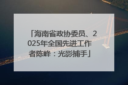 海南省政协委员、2025年全国先进工作者陈峰：光影捕手