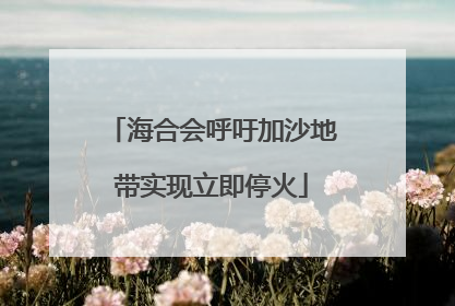 海合会呼吁加沙地带实现立即停火