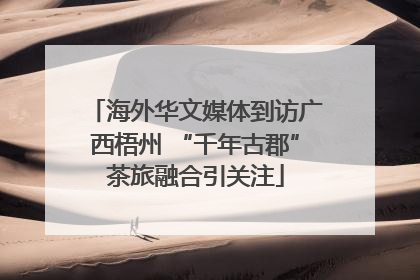 海外华文媒体到访广西梧州 “千年古郡”茶旅融合引关注