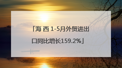 海 西 1-5月外贸进出口同比增长159.2%