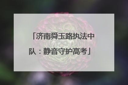 济南舜玉路执法中队：静音守护高考