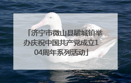 济宁市微山县驩城镇举办庆祝中国共产党成立104周年系列活动