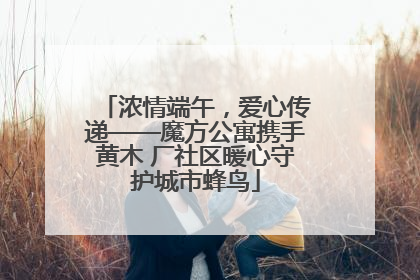 浓情端午，爱心传递——魔方公寓携手黄木 厂社区暖心守护城市蜂鸟