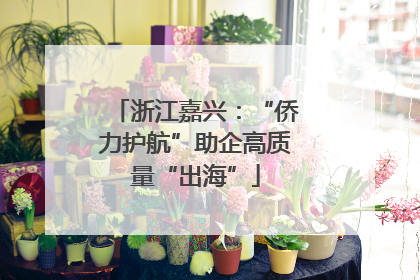 浙江嘉兴：“侨力护航”助企高质量“出海”