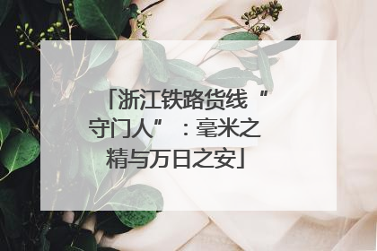 浙江铁路货线“守门人”：毫米之精与万日之安