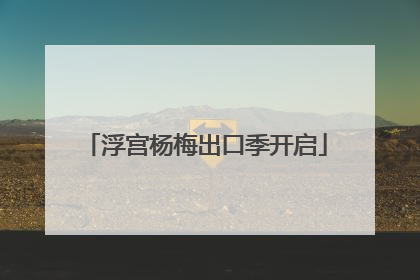 浮宫杨梅出口季开启