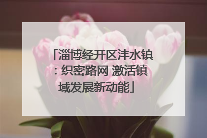 淄博经开区沣水镇：织密路网 激活镇域发展新动能