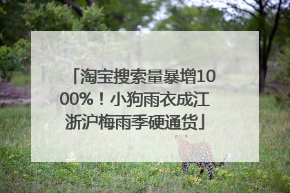淘宝搜索量暴增1000%！小狗雨衣成江浙沪梅雨季硬通货