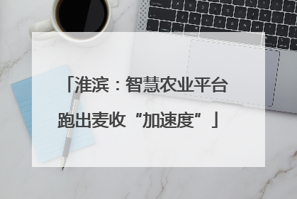 淮滨：智慧农业平台跑出麦收“加速度”