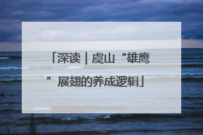 深读｜虞山“雄鹰”展翅的养成逻辑