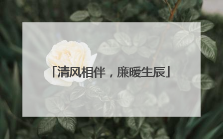 清风相伴，廉暖生辰
