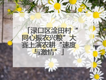 渌口区淦田村“同心振农兴粮”大赛上演农耕“速度与激情”