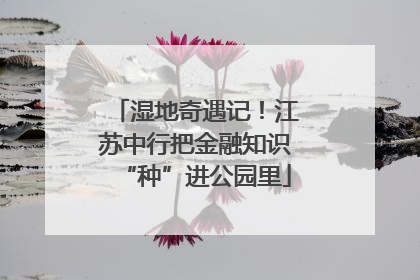 湿地奇遇记！江苏中行把金融知识“种”进公园里