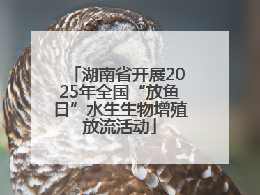 湖南省开展2025年全国“放鱼日”水生生物增殖放流活动
