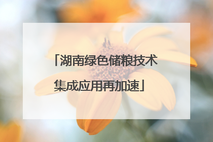 湖南绿色储粮技术集成应用再加速
