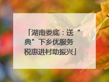 湖南娄底：送“典”下乡优服务 税惠进村助振兴