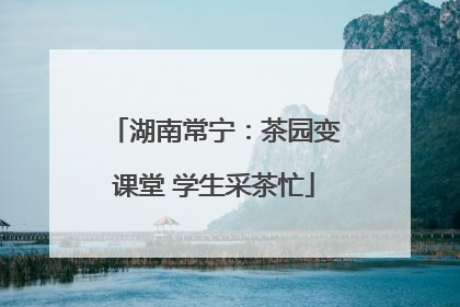 湖南常宁：茶园变课堂 学生采茶忙