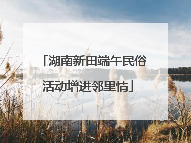 湖南新田端午民俗活动增进邻里情
