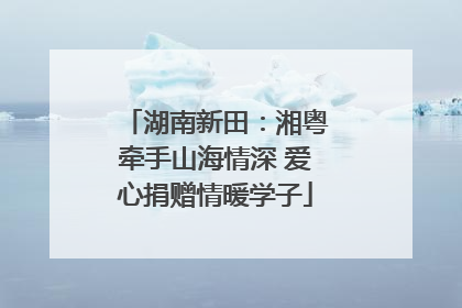 湖南新田：湘粤牵手山海情深 爱心捐赠情暖学子