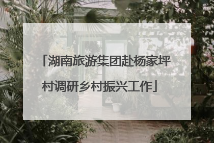 湖南旅游集团赴杨家坪村调研乡村振兴工作