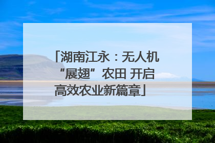 湖南江永：无人机“展翅”农田 开启高效农业新篇章