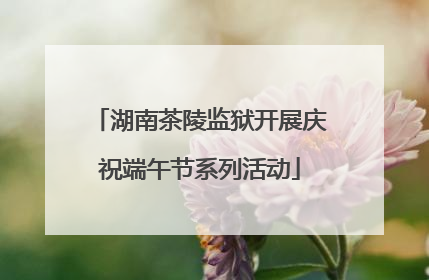 湖南茶陵监狱开展庆祝端午节系列活动