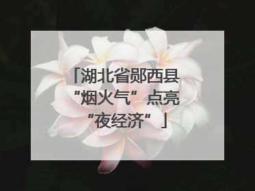 湖北省郧西县“烟火气”点亮“夜经济”