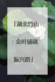 湖北竹山：金叶铺就振兴路