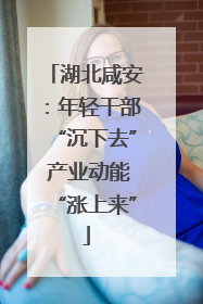 湖北咸安：年轻干部“沉下去” 产业动能“涨上来”