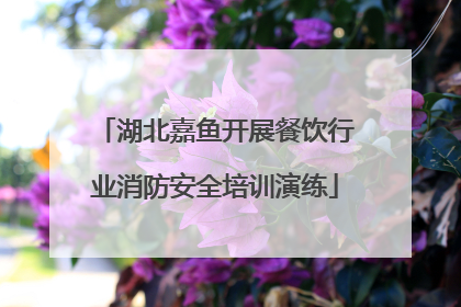 湖北嘉鱼开展餐饮行业消防安全培训演练
