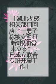 湖北孝感相关部门回应“一男子称被交警打断9根肋骨未立案”：已成立联合专班开展工作
