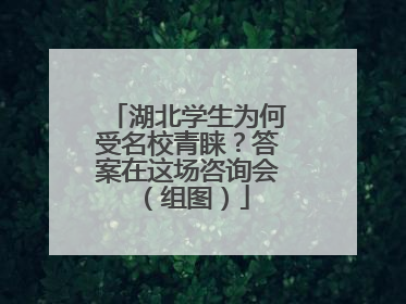 湖北学生为何受名校青睐？答案在这场咨询会（组图）