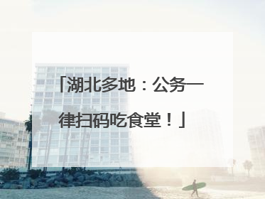 湖北多地：公务一律扫码吃食堂！