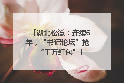 湖北松滋：连续6年，“书记论坛”抢“千万红包”