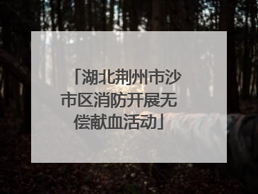 湖北荆州市沙市区消防开展无偿献血活动