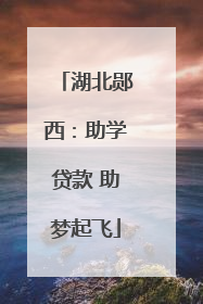 湖北郧西：助学贷款 助梦起飞
