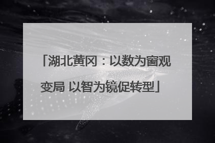湖北黄冈：以数为窗观变局 以智为镜促转型