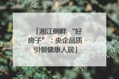 湘江侧畔 “好房子”：央企品质引领健康人居