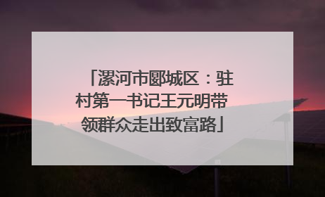 漯河市郾城区：驻村第一书记王元明带领群众走出致富路
