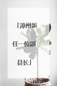 漳州新任一位副县长