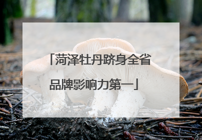 菏泽牡丹跻身全省品牌影响力第一