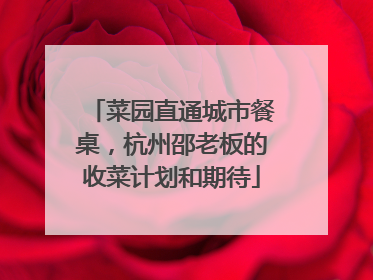 菜园直通城市餐桌，杭州邵老板的收菜计划和期待