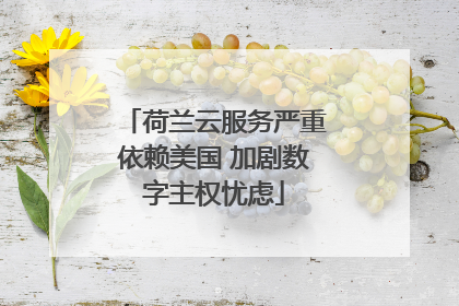 荷兰云服务严重依赖美国 加剧数字主权忧虑