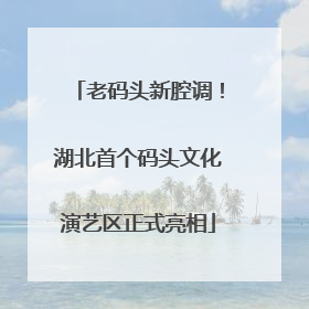 老码头新腔调！湖北首个码头文化演艺区正式亮相