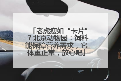 老虎瘦如“卡片”？北京动物园：饲料能保障营养需求，它体重正常，放心吧