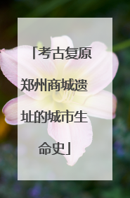 考古复原郑州商城遗址的城市生命史