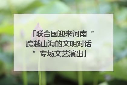 联合国迎来河南“跨越山海的文明对话”专场文艺演出
